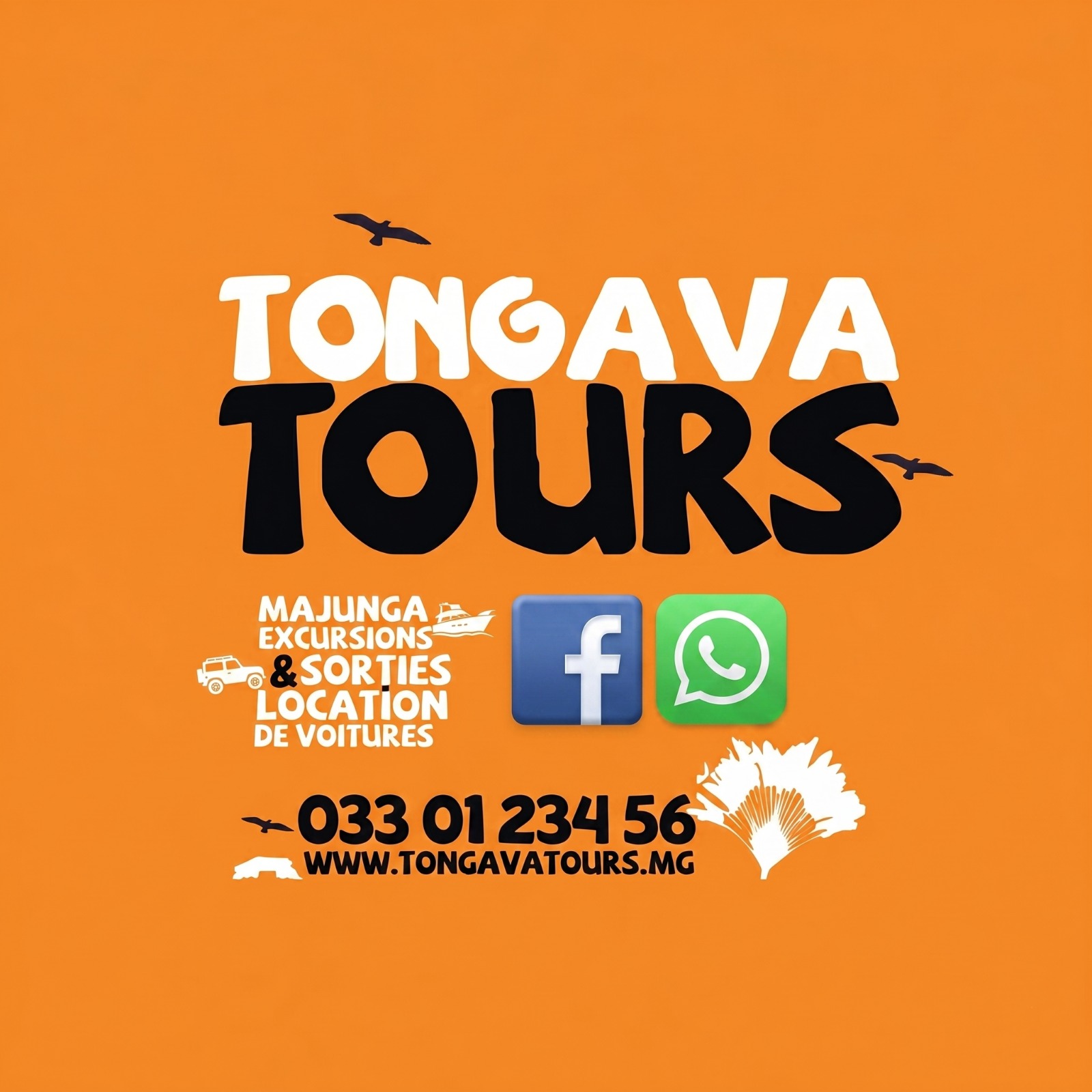 TongavaTours